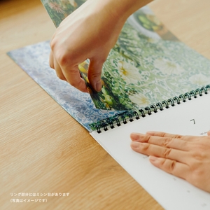 tosGBWtcc5W5596EgdNy.jpg?w=940&h=940