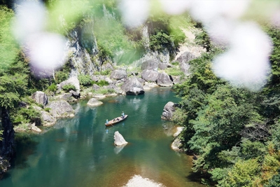 towAC2ETRF3Q9RDtekgP.jpg?w=940&h=940