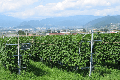 tpKReiRCjlhKcyiWicmg.png?w=940&h=940