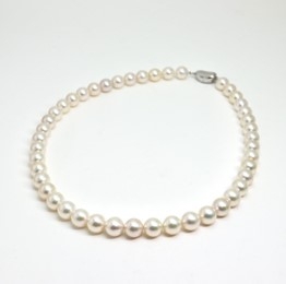 tpN3XSf8YbisBI1Q1jOG.jpg?w=940&h=940