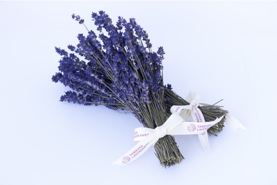 tpknfMwNUeAUOvLiUO1L.jpg?w=940&h=940