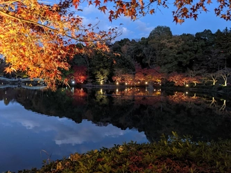 東京・町田市で「来て・見て・味わう」秋のイベント開催　 紅葉ライトアップやフェス・マルシェも出展