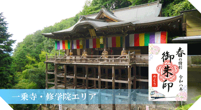 tqGHWD4MgBZ4ME1kvfJK.gif?w=940&h=940