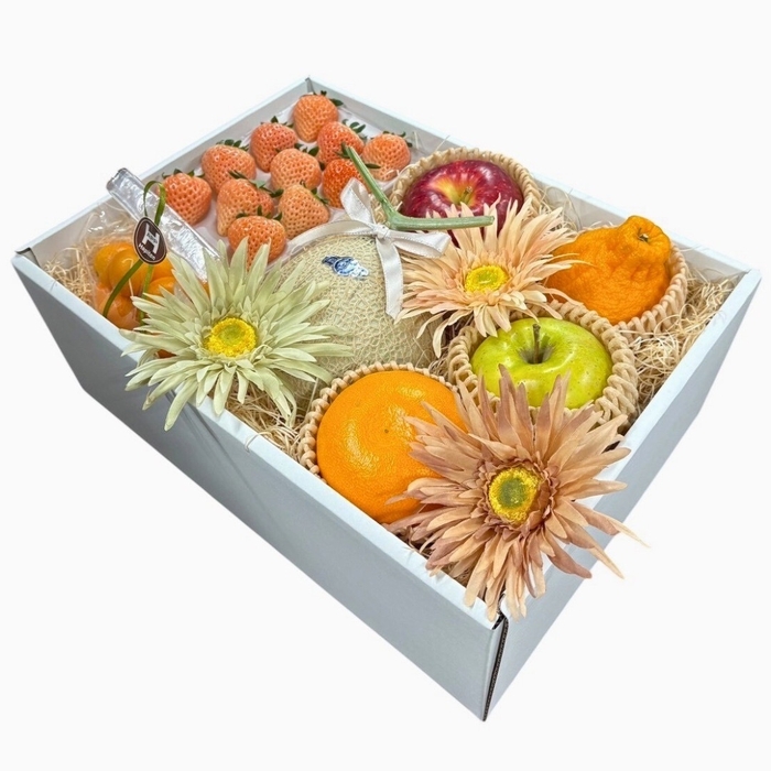 静岡県産マスクメロンと季節の果物が奏でる 旬果のアソート - H - (3)