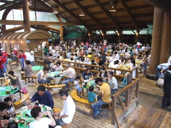 鹿児島県と鹿児島県オールトヨタ(※1)によるプロジェクト 「フォトドラ～かごしまフォトドライブプロジェクト～」が 2020年度上期フォトドラアワードを認定　 新規応募総数約800カ所のうち、「鶴丸城御楼門」など24カ所を選定