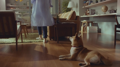 tv24T0GsobbBEvXPK4Yk.jpg?w=940&h=940