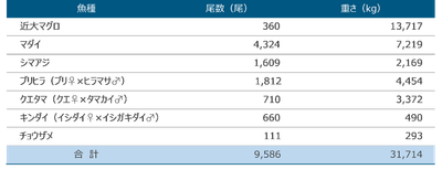 tvFMpIH1OuG42p6ywZCC.png?w=940&h=940