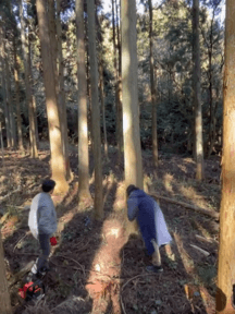 仁和寺の裏山の木を伐採する活動
