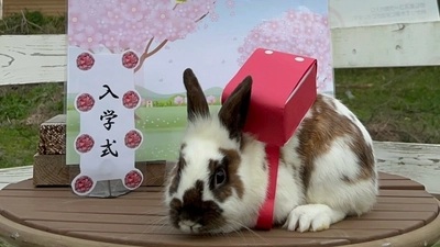 淡路島にある小さな動物園「のじま動物園」限定イベント盛りだくさん！ 動物たちと春を満喫『春のどうぶつえんまつり』 3月・4月に開催！