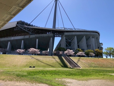 tx7g6oVMWDj6ZH0Yz4lx.jpeg?w=940&h=940