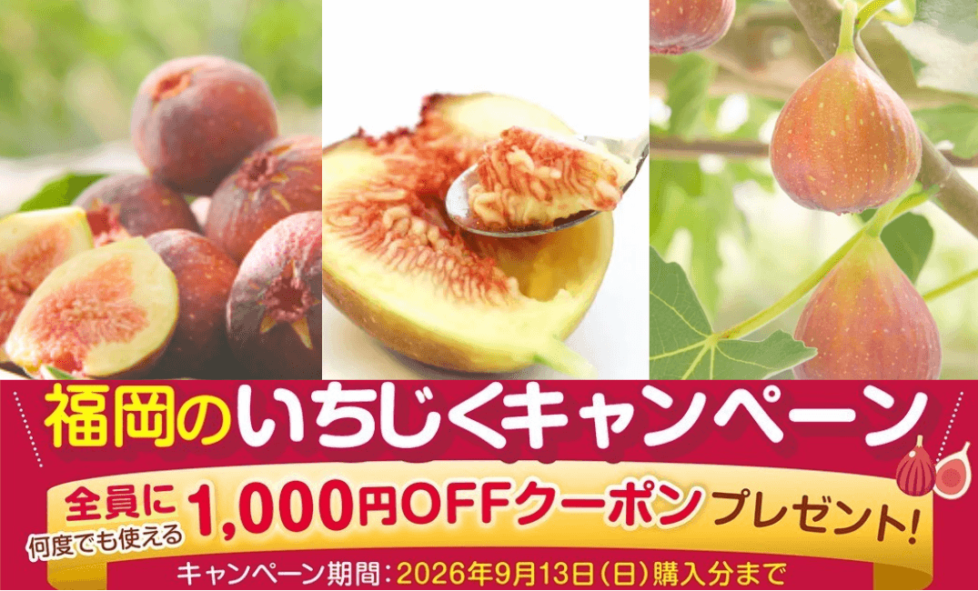 福岡県産の旬のいちじくが勢揃い！なめらか＆プチプチ食感をお得に楽しめる！「福岡いちじくキャンペーン」で購入者全員に次回使える1000円クーポンをプレゼント！JAタウンの「博多うまかショップ」で販売