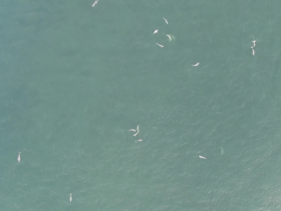 txWEmT0psL2xZXR9rGLG.jpg?w=940&h=940