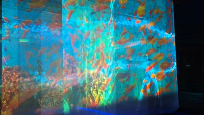 txfAcrRCyXp2IdJYfgm4.jpg?w=940&h=940