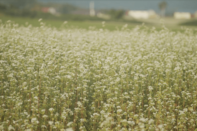 北海道発新ブランド牛「幌加内和牛」が誕生。ツキヒホールディングス株式会社が店舗設計・プロジェクトマネジメントやコンテンツ制作等トータルプロデュース。