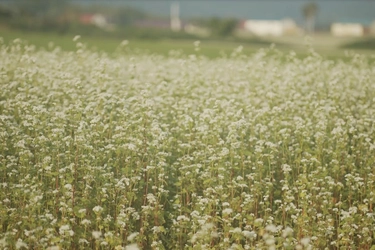 北海道発新ブランド牛「幌加内和牛」が誕生。ツキヒホールディングス株式会社が店舗設計・プロジェクトマネジメントやコンテンツ制作等トータルプロデュース。