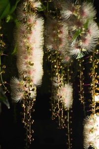 txo2sIMv31qdSMvFcBKv.jpg?w=940&h=940