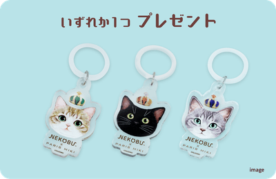 txuiLmFab3iUer9yU0Vp.png?w=940&h=940