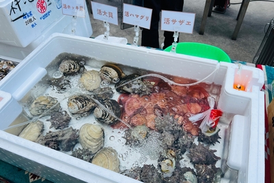 tyI6duTq3ifVVyIThxsO.jpg?w=940&h=940