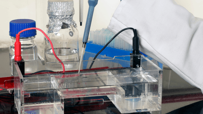 tzpIwVEW1nczZiqIQkMP.png?w=940&h=940