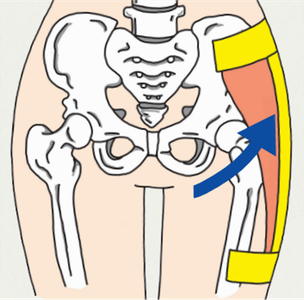 u06yU4Rf5frmnnJhytm4.png?w=940&h=940