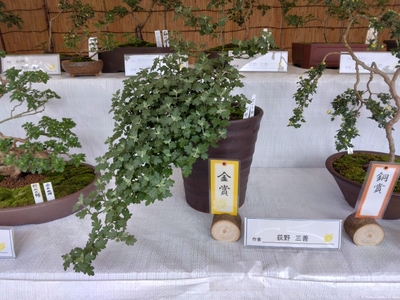 u0EQeHNwLmZCM3cuaYmb.jpg?w=940&h=940