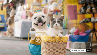 u0FGi3m9M1uaT4EV8d1b.png?w=940&h=940