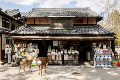 u17ZxabKe1CNFG9LVuef.jpg?w=940&h=940