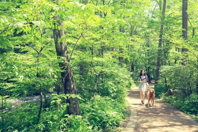 u1ihDGTeWE3IWtBFNxq3.jpg?w=940&h=940