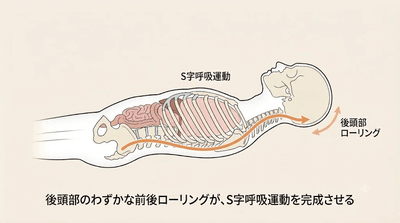 u1zwaLC7JcMMksIMJ8Us.png?w=940&h=940