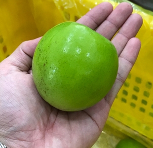 u2vMgzIWOZuy8CcgYw4Q.jpg?w=940&h=940