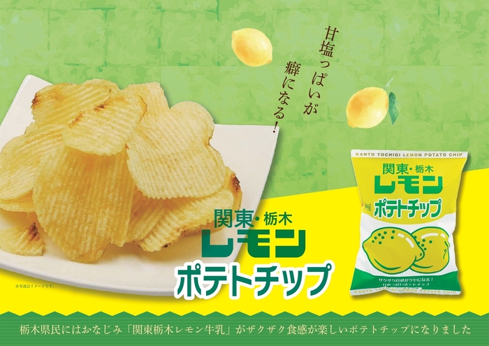 関東栃木レモンポテトチップ