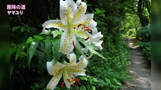 u4qpRoj0dQ9rjqHLn6wY.jpg?w=940&h=940