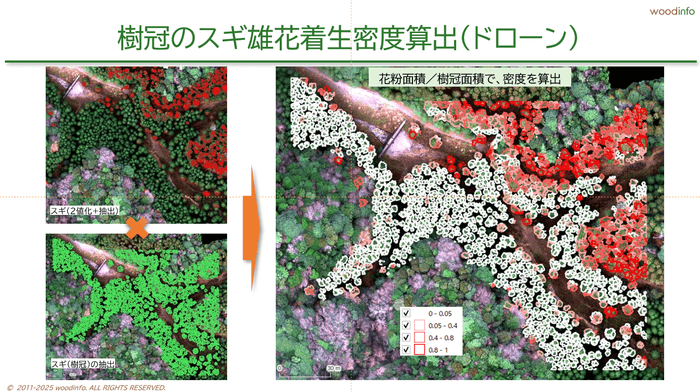 ドローンによる花粉雄花着生レベルの算定