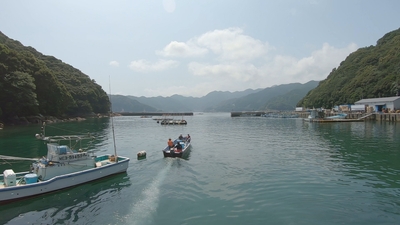 u9lS2uqWpZAaNnQQbtoF.jpg?w=940&h=940