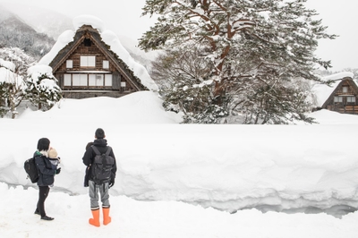 u9sfkEifighRn5NZWTIj.jpg?w=940&h=940