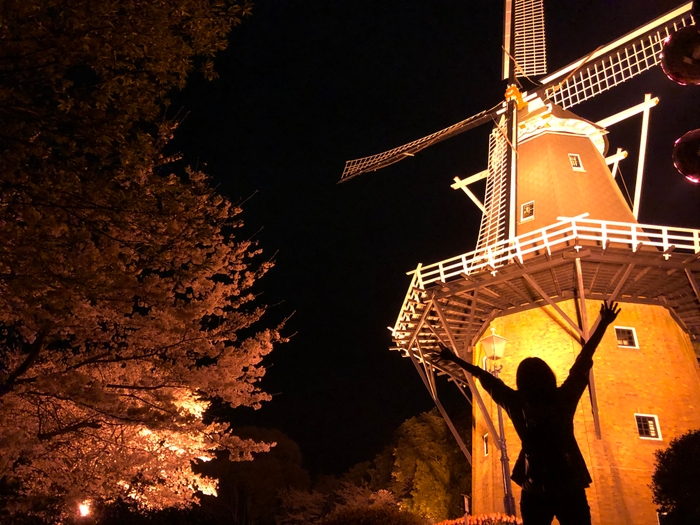 タイトル「永源山公園の夜桜」(投稿者:@s_and_a91.bz178tak.doas1035ryo)