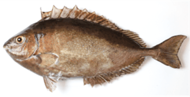 uAd8qUNXn8TLsP5uWQ11.png?w=940&h=940