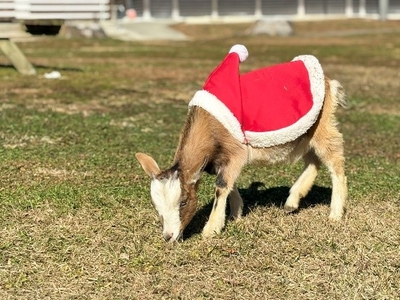 uAjUv3w8xhdYP1rd14E8.jpeg?w=940&h=940