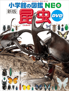 uB8BKtj0qFDdvse5sIit.png?w=940&h=940