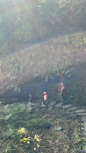 uBlyDHbvc3X7AoYEmU30.jpg?w=940&h=940