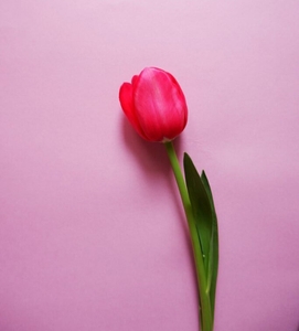 uCHeo5IGxSPqXd1CoDME.jpg?w=940&h=940