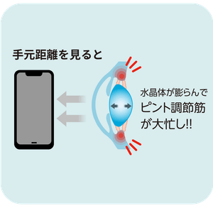 uCP8lfNr19XHVPtlUsJp.png?w=940&h=940