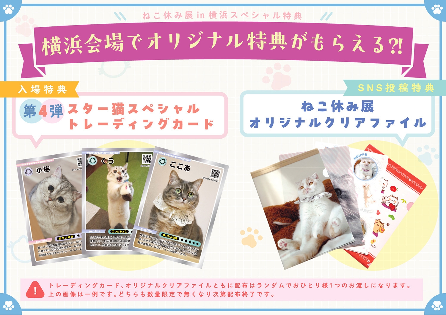 入場特典&SNS投稿特典