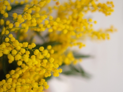 uDd476fVPomRpZj4twzs.jpg?w=940&h=940