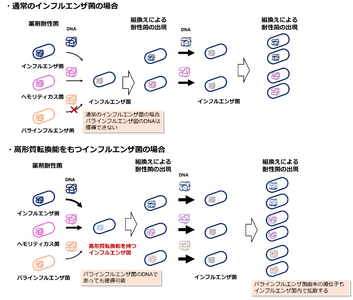 uERL9uSA7U9kOT9ef6cc.png?w=940&h=940