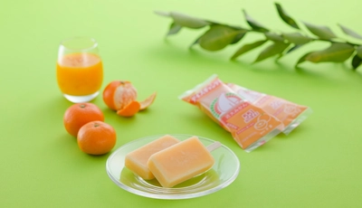 株式会社蓬莱×近畿大学附属湯浅農場　「近大みかん」使用のアイスキャンデーを期間限定販売！