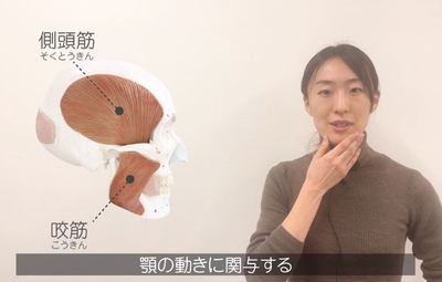 uG72nQpJvt5Udkv4kg9p.jpg?w=940&h=940