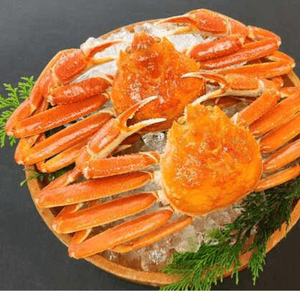 ※画像はイメージです。