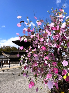 uJ15YML3nSwUmX1VVC28.jpg?w=940&h=940