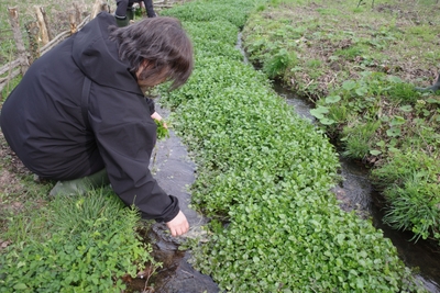 uJ6MGtEB6aMwwkPoQjbP.JPG?w=940&h=940